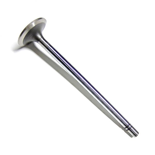 Cat Intake Valve 1642543