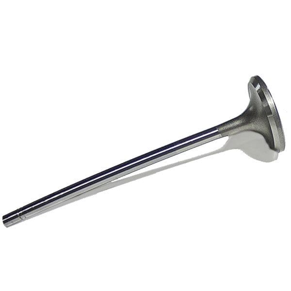 Cat Intake Valve 1W1817