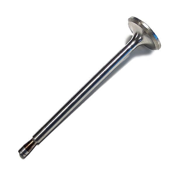 Cat Intake Valve M8H1993