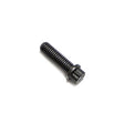 Cat Screw M6K3771