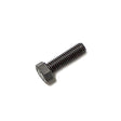 Cat Screw M8T8919
