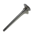 Cat Valve, Exhaust 5I7739
