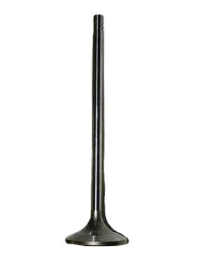 Cat Valve - Int/Ex 3500 7E4609