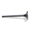 Cat Valve - Intake 1N4885