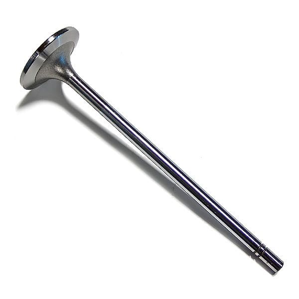 Cat Valve - Intake 2102542
