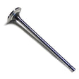 Cat Valve - Intake 2120932