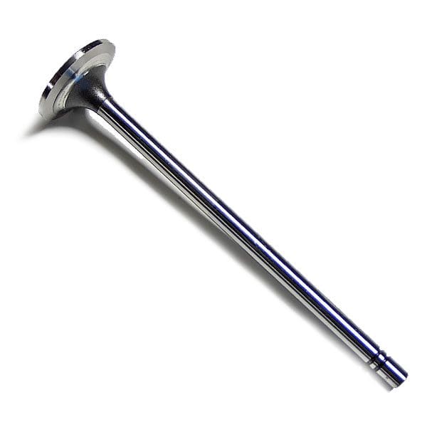 Cat Valve - Intake 2120932