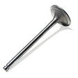 Cat Valve, Intake 2128477