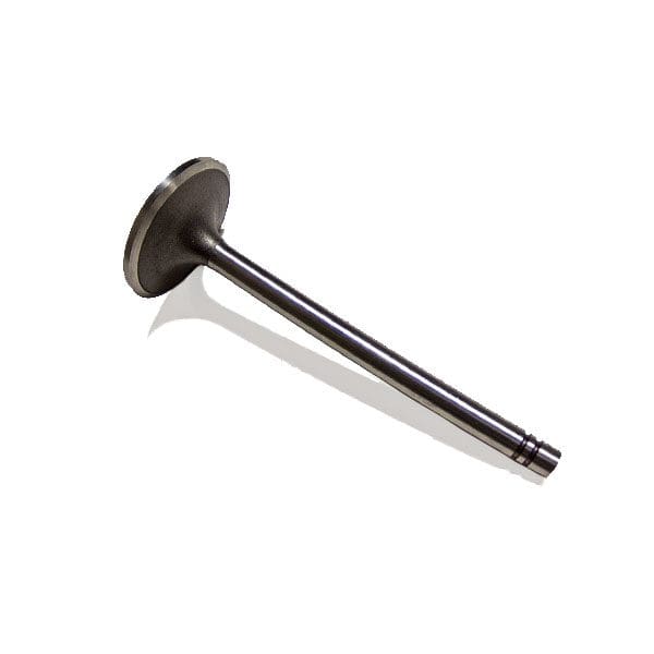 Cat Valve - Intake 5S6452