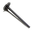 Cat Valve, Intake 9N180