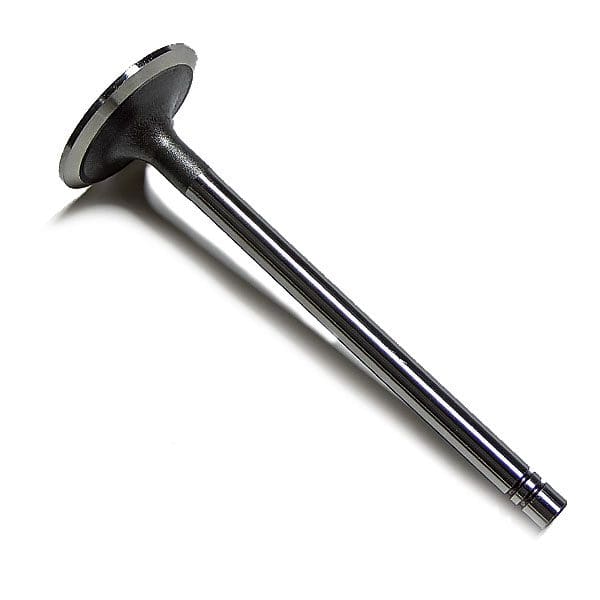 Cat Valve, Intake 9N180
