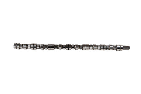 Cummins 855 Camshaft 3025518