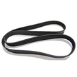 Cummins Belt 3911561