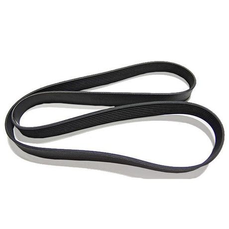 Cummins Belt 3911561