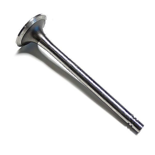 Cummins Exhaust Valve 138887