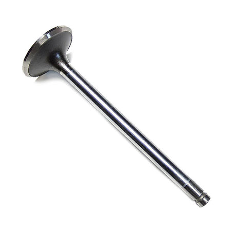 Cummins Exhaust Valve 3902254