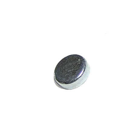 Cummins Expansion Plug 3905401