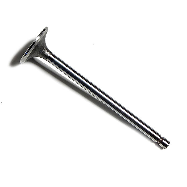 Cummins Intake Valve 3802924