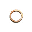 Cummins ISB 6.7L, 5.9L, 4.5L Sealing Washer 4891385