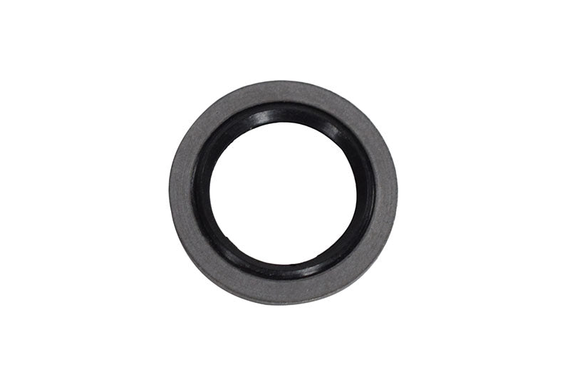 Cummins ISB 6.7L, 5.9L, 4.5L Single Cam Sealing Washer 3918190