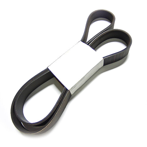 Cummins ISC 8.3L, 4B 3.9L, 6B 5.9L Ribbed Belt 3935335