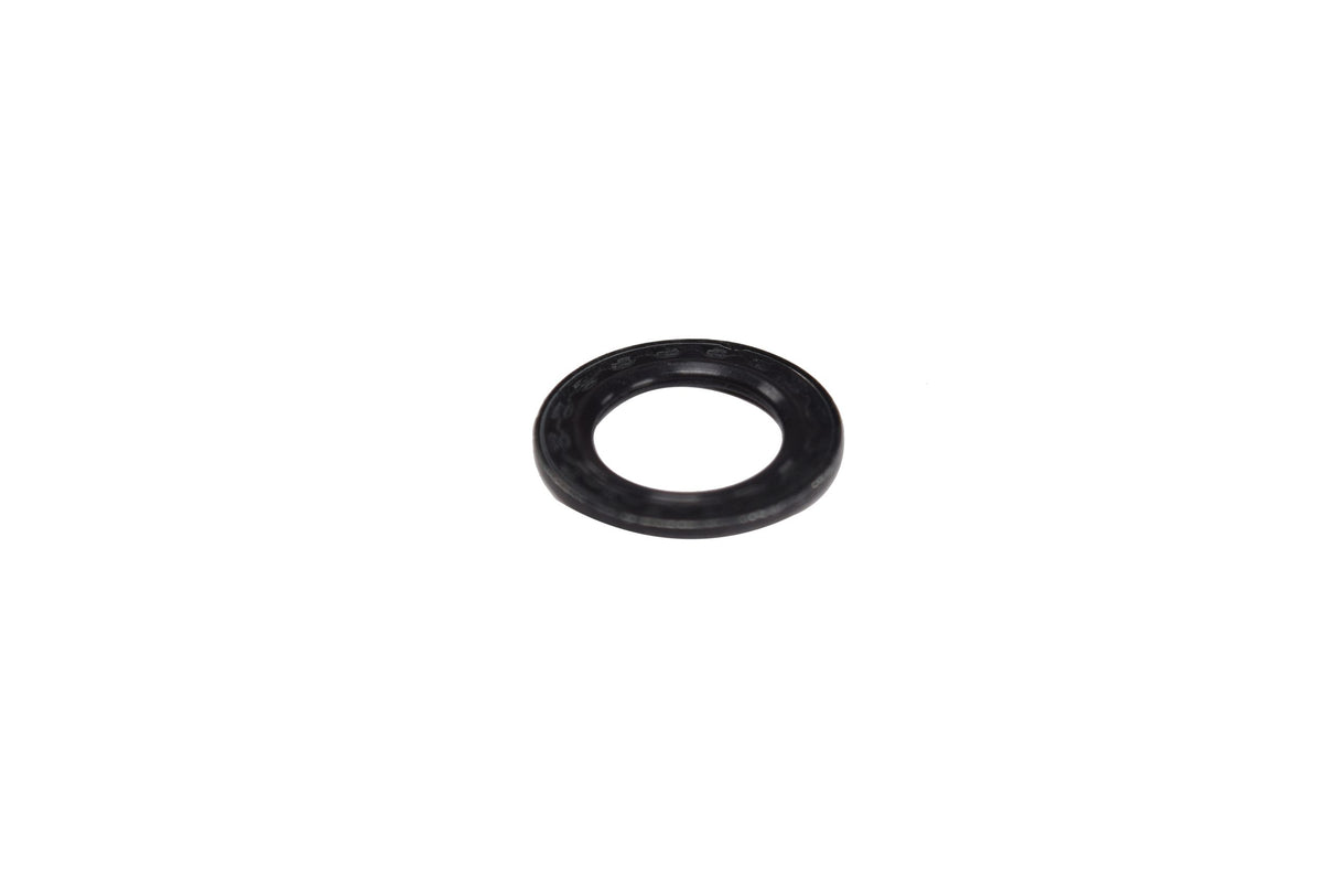 Cummins ISC 8.3L, ISL, 6C 8.3L Single Cam Sealing Washer 3963990