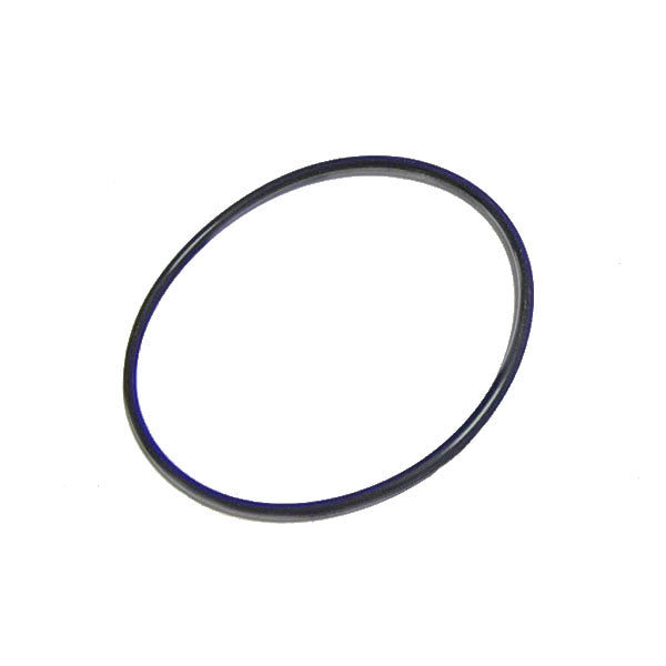 Cummins ISC 8.3L, ISL Fuel Injection Pump Mounting Seal 3899283