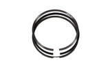 Cummins ISC 8.3L Piston Cylinder Kit 4955530