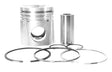 Cummins ISC 8.3L Piston Cylinder Kit 4955581