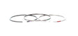 Cummins ISC 8.3L Piston Ring Set 4955651