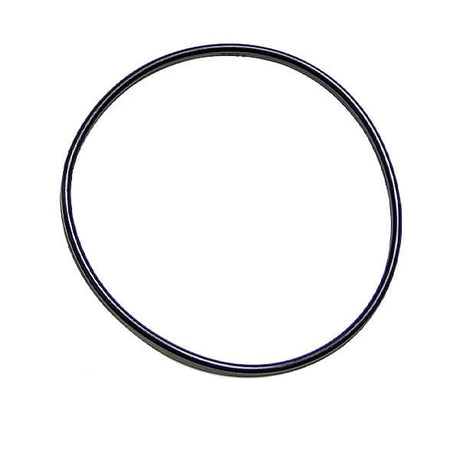 Cummins ISC 8.3L Water Pump Seal Ring 3940386