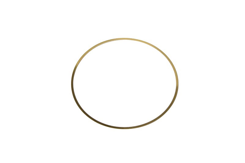 Cummins ISX Liner Shim 5298564