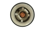 Cummins ISX, N14, ISM 180° Thermostat 4318947
