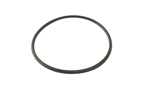 Cummins ISX, QSX Water Pump O-Ring 3678724
