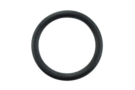 Cummins ISX, QSX Water Pump O-Ring 3683814