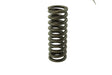 Cummins ISX Valve Spring 3679551