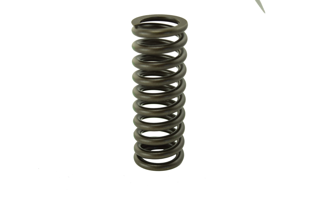 Cummins ISX Valve Spring 3679551