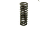 Cummins ISX Valve Spring 3679551