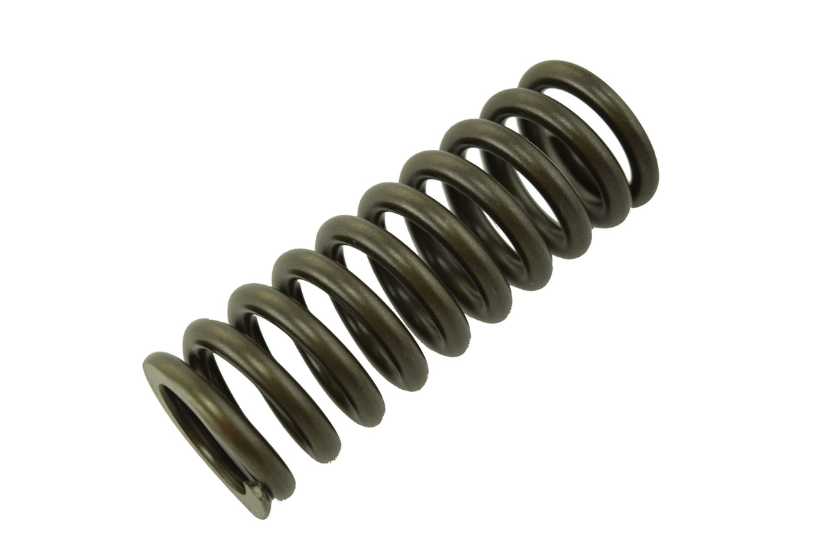 Cummins ISX Valve Spring 3679551