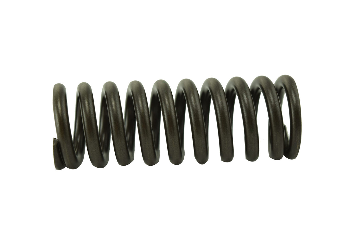 Cummins ISX Valve Spring 3679551
