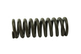 Cummins ISX Valve Spring 3679551