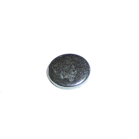 Cummins L10 Expansion Plug 206741