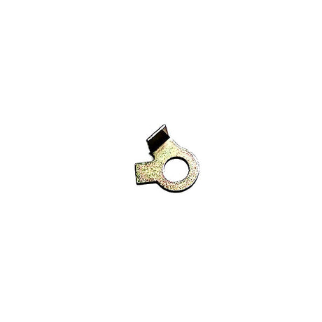 Cummins Lock Plate 554731