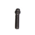 Cummins N14 Screw 153582