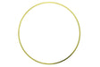 Cummins N14 Seal Ring 3066844