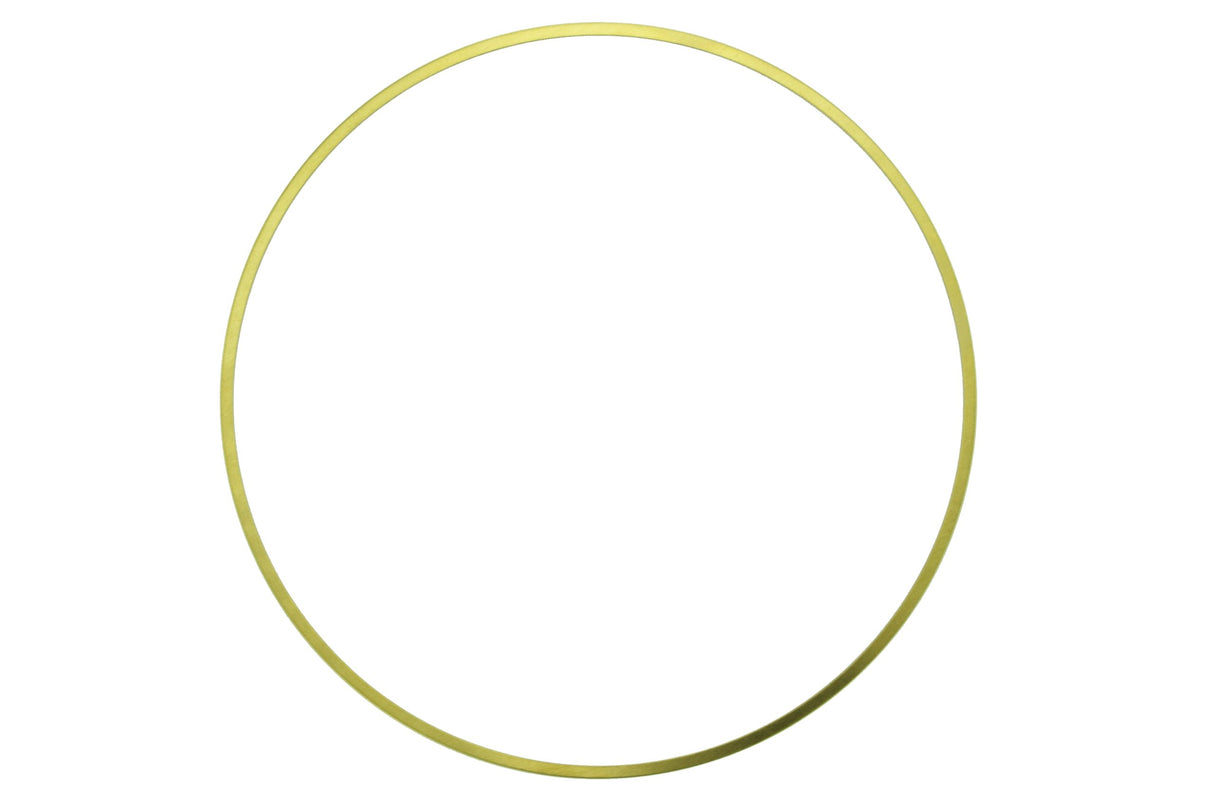 Cummins N14 Seal Ring 3066844