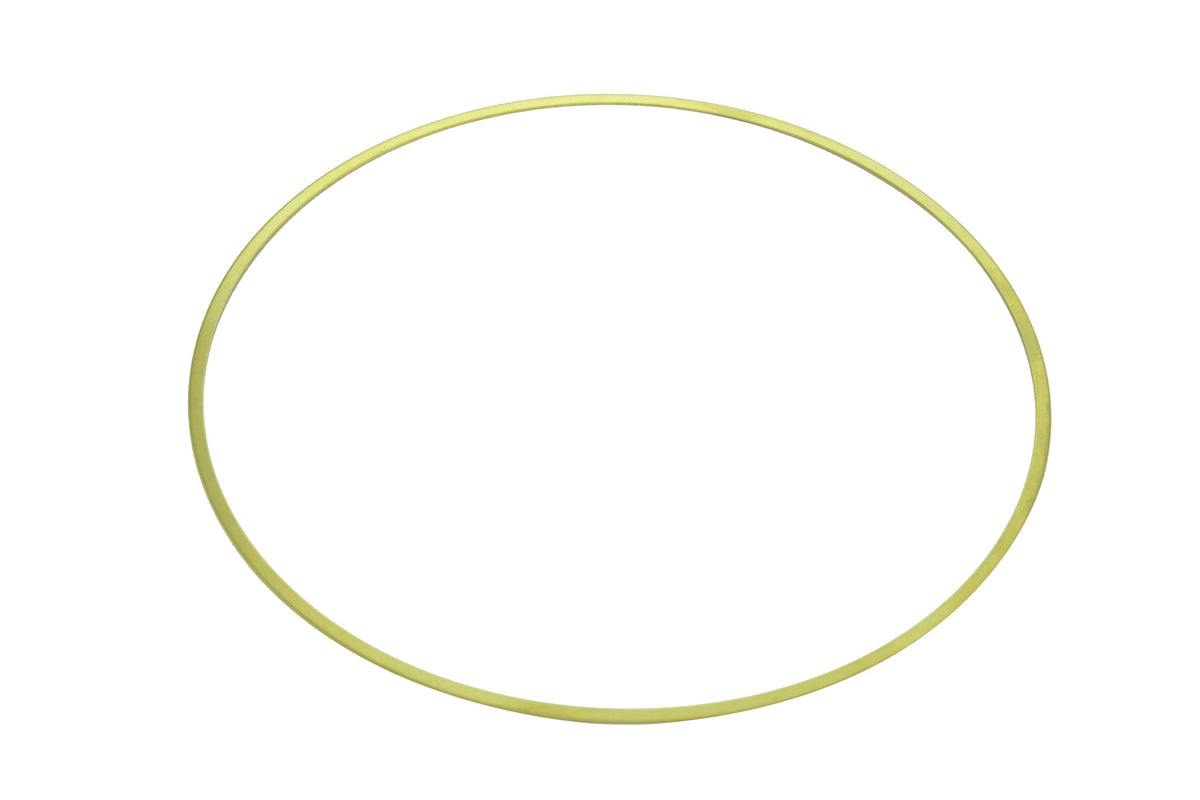 Cummins N14 Seal Ring 3066844