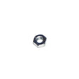 Cummins Nut S251