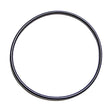 Cummins O-Ring 66998