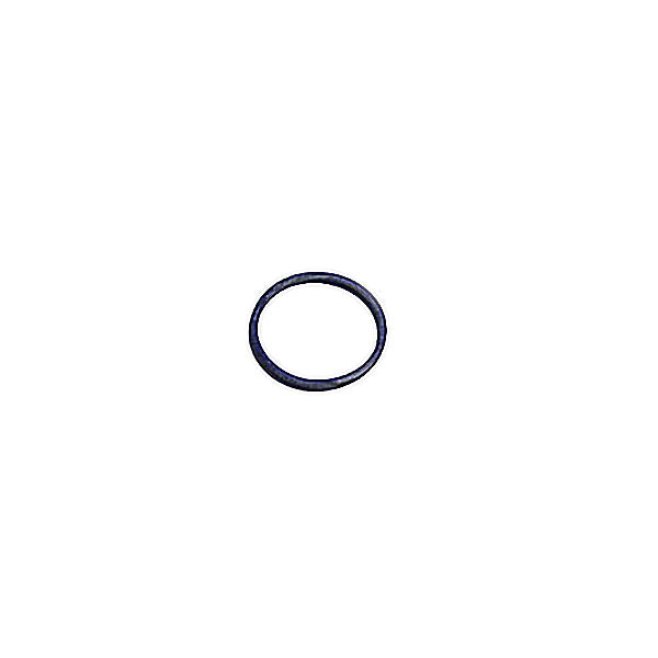 Cummins O-Ring Seal 160196